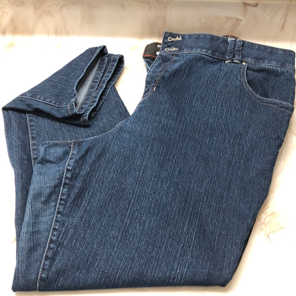 Lane Bryant skinny jean dark wash